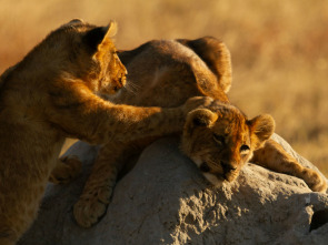 Imagen de Visto en el safari  - 3