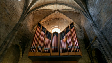 Imagen de XLI Ciclo de Música para órgano en Navarra - 3