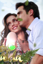 Imagen de Corazón esmeralda - 2