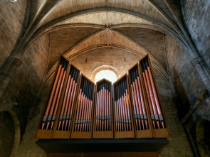 Imagen de XLI Ciclo de Música para órgano en Navarra - 1