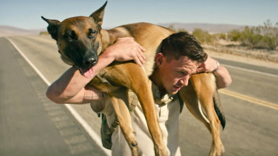 Imagen de Dog. Un viaje salvaje - 3