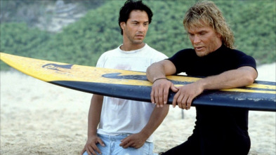 Imagen de Le llaman Bodhi - 3