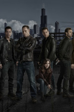 Imagen de Chicago P.D. (T1): Ep.9 Testigo presencial - 2