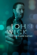 Imagen de John Wick (Otro día para matar) - 2