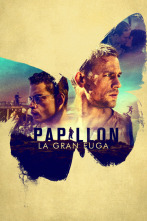 Imagen de Papillon - 2