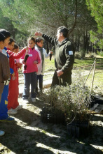 Imagen de Hazte eco: Ep.355 - 2