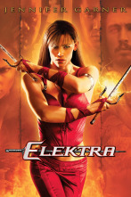 Imagen de Elektra - 2