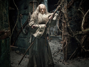 Imagen de El hobbit: La desolación de Smaug - 1
