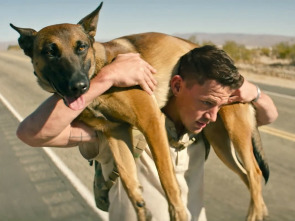 Imagen de Dog. Un viaje salvaje - 1