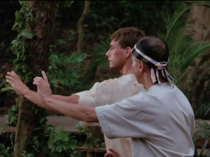 Imagen de Kickboxer - 1