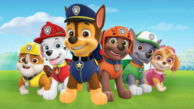 Imagen de La patrulla canina Single Story (T7) - 3
