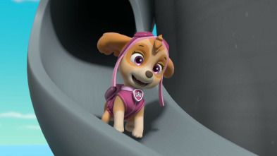 Imagen de La Patrulla Canina (T10): La patrulla salva a una cría de caribú / La patrulla salva a Luke y a su gemelo - 5