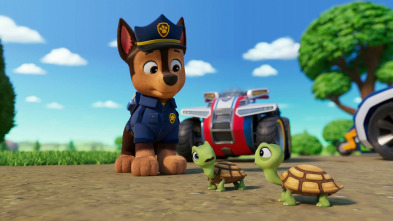 Imagen de La patrulla canina (T12): Ep.7 - 3