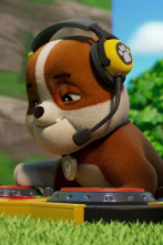 Imagen de La patrulla canina (T12): Ep.5 - 2