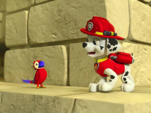 Imagen de La patrulla... (T2): La patrulla salva al loro - 1