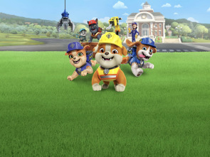Imagen de Equipo Rubble (T2): ¡El equipo construye una rueda de la fortuna!; El equipo construye un espacio de yoga para animales - 3