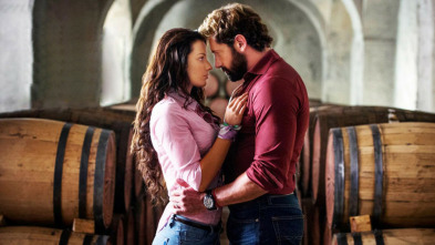 Imagen de Vino el amor - 3