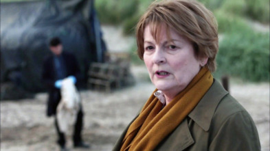 Imagen de Vera (T4) - 3