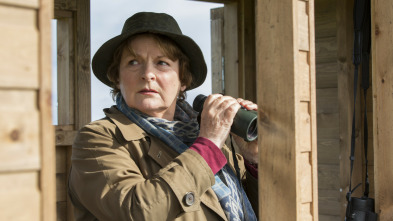 Imagen de Vera (T8): Ep.3 A casa - 3