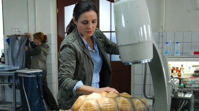 Imagen de Doctora en el Zoo (T4): Ep.4 Sobre el terreno - 3