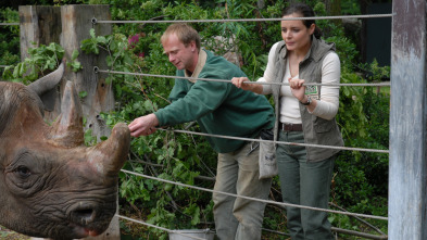 Doctora en el Zoo (T5): Ep.11 Palabras claras