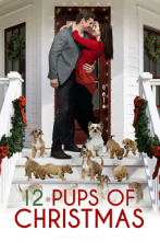 Imagen de Encontrando el amor en Navidad - 2