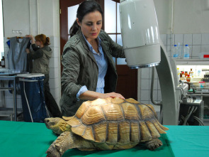 Imagen de Doctora en el Zoo (T4): Ep.4 Sobre el terreno - 1