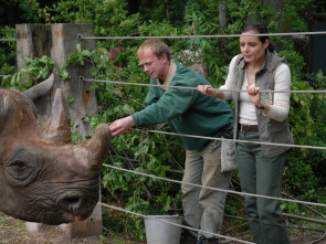 Doctora en el Zoo (T5): Ep.10 Un nuevo comienzo