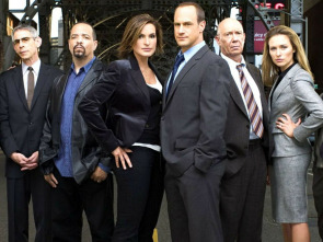 Imagen de Ley y orden: unidad de víctimas especiales - 1