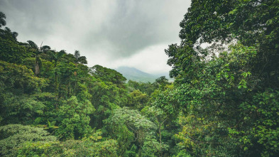 Vivir en territorio extremo: Japón