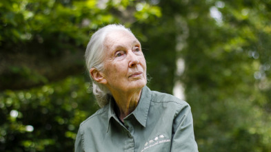 Jane Goodall: la...: Ep.4