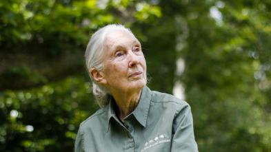 Jane Goodall: la...: Ep.5