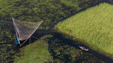 Bangladés: lucha contra el cambio climático