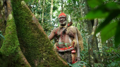 Guardianes de los bosques: Gabón