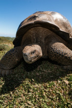 Galápagos: esperanza...: El nuevo comienzo