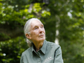 Jane Goodall: la...: Ep.4