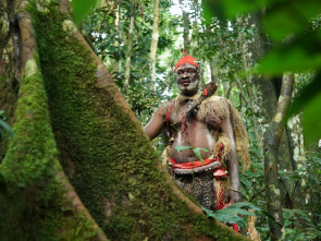 Guardianes de los bosques: Gabón