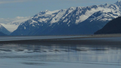 Imagen de Alaska salvaje: Invierno - 3