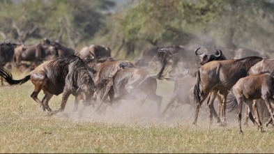 Imagen de El verdadero club de la lucha - 3