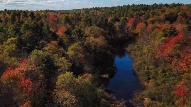 Imagen de Maine. América al natural - 3