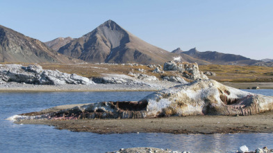 Imagen de Paraísos salvajes: Rusia - 3