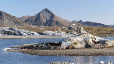 Imagen de Paraísos salvajes: Sur de Asia - 3