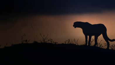 Imagen de El Kalahari, la...: Ep.2 - 3