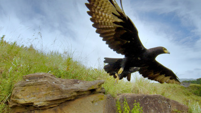 Imagen de Reinos ocultos de...: Drakensberg: Barrera de Lanzas - 3