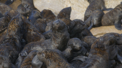 Maravillas...: Isla de la Mafia - Paraíso Desconocido