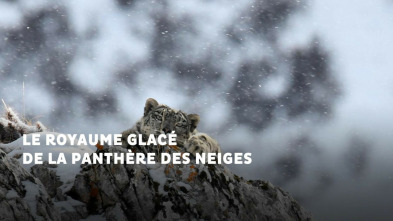 Imagen de El reino helado de la pantera de las nieves - 3