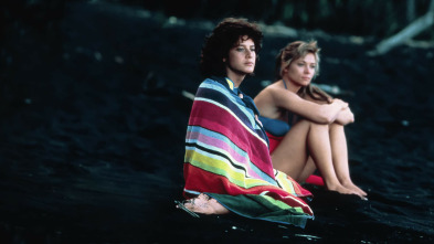 Imagen de El caso de la viuda negra - 3