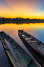 Imagen de Las islas más salvajes: Islas fluviales amazónicas: los bosques flotan - 2