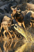 Imagen de El verdadero club de la lucha - 2