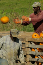 Imagen de Maine. América al natural - 2